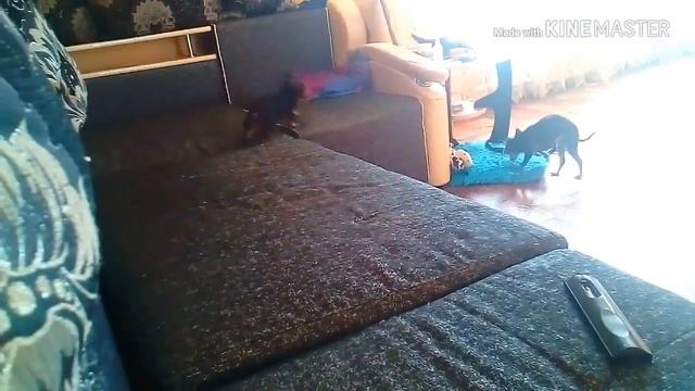 Как поднять себе настроение осенью смотреть онлайн