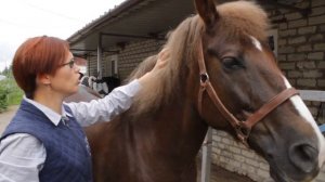 Продергивание гривы | Уход за гривой лошади