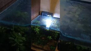 Аквариум кубический 50 литров своими руками