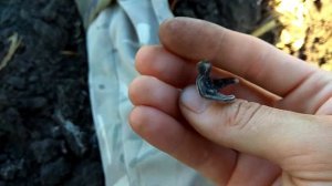 КОП ФИШЕР Ф75 ХП Деус