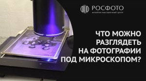 Что можно разглядеть на фотографии под микроскопом?
