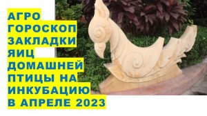 Агрогороскоп закладки яиц домашней птицы на инкубацию в апреле 2023 года