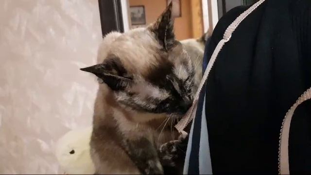 Леся и Сёма - Запах кормилки