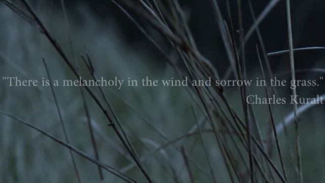 Moments of Melancholy | Quotes смотреть онлайн