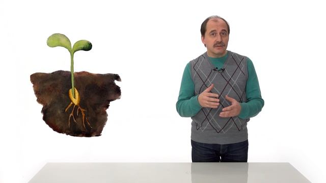 2. Чем живое отличается от неживого. Часть 1 смотреть онлайн