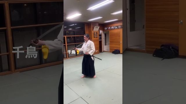 居合道(Iaido)