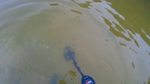 ПОДВОДНИЙ ПОИСК ЗОЛОТА