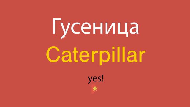 Гусеница по-английски