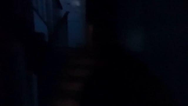 VLOG Решили купить мне телефон. Помогли Макару смотреть онлайн