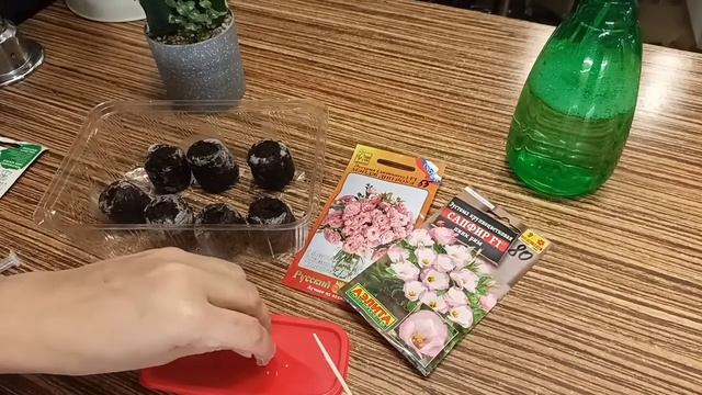 Эустома, секреты выращивания.