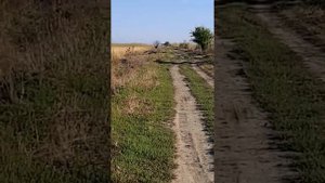 Поездка на рыбалку на Староджерелиевский канал