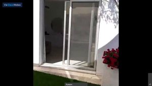 ? Прямое включение из отеля Baia Bodrum 5* | KOMPAS Touroperator