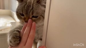 УБОРКА И ПЕРЕДЕЛКА КОМНАТЫ // ЧАСТЬ 1 // room makeover