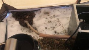 Заброшенные деревни Тверской области