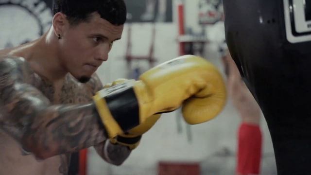 Introducing Pro Mex V2.0 - TITLE Boxing - New Professional Bag Gloves смотреть онлайн