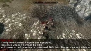 Skyrim Mod : Vokrii Unarmed Extend   Light Heavy Shield