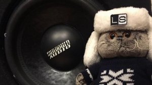 Громкий Дед - Жеваный Крот