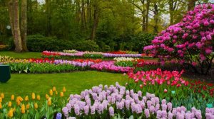 Patricia Kaas - La vie en rose