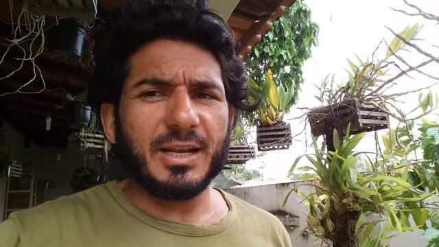 Sobre luminosidade para orquídeas смотреть онлайн