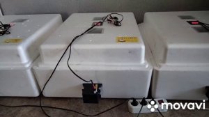 Почему в инкубаторе скачет  температура.