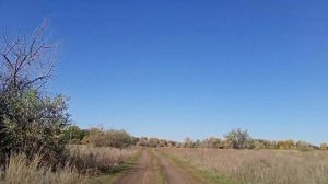 Автопрогулка Оренбург|Из с.Крестовка в с.Кинделя|Оренбургская область|Поля и леса|Красиво осенью|Ле