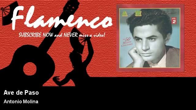 Las 50 Mejores Canciones de Antonio Molina Parte 1 смотреть онлайн