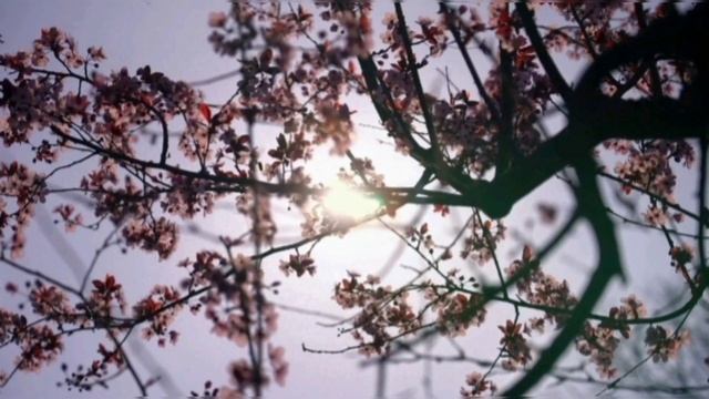 Когда всё это закончится.mp4 смотреть онлайн