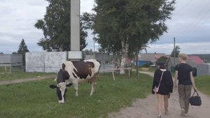 Ненокса: вчера, сегодня, завтра.mp4
