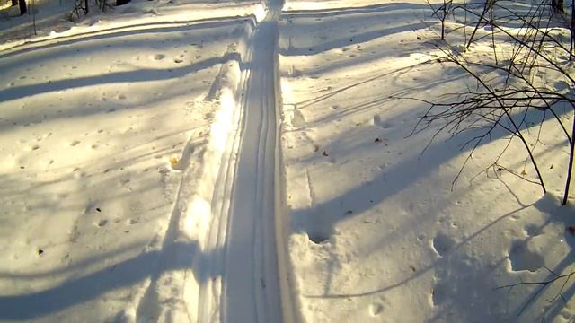 Поход на лыжах. смотреть онлайн