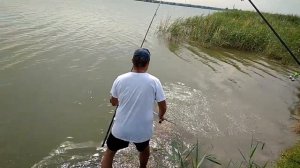 Поймал карпа на пеллетс.