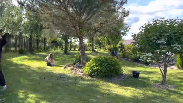 КАК УХАЖИВАТЬ ЗА САДОМ ?ТОПИАРНЫЕ СТРИЖКИ ?ОБЗОР САДА ?Стрижка живой изгороди. смотреть онлайн