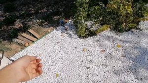 Надоел мангал, купил на замену тандыр: обзор на тандыр "Александр"