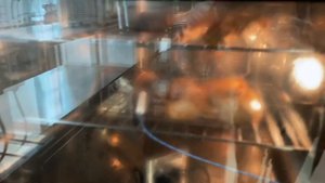 КОПЧЕНИЕ В ПАРОКОНВЕКТОМАТЕ TATRA | мясо, рыба и птица