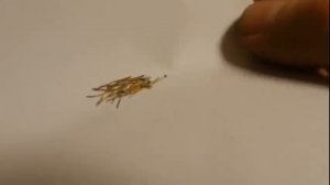 Реактив на золото. Грязные растворы