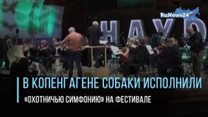 В Копенгагене собаки исполнили «Охотничью симфонию» на фестивале академической музыки