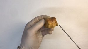 Таранная кость - Talus, курс нормальной анатомии (мобильное приложение "Учи Анат")