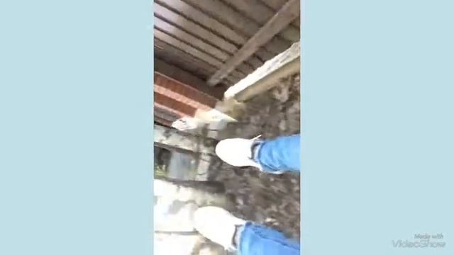 Влог еду кататься на гироскутере в Ершово смотреть онлайн