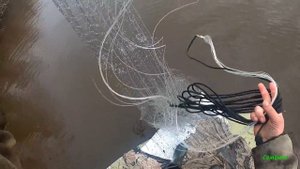 Ловля рыбы кастинговой сетью с лодки, глубокой осенью в закоряженной Сибирской реке.