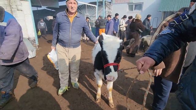 Молбозори шахри Хучанд. Даромади бозор нархи савдо шуда.?