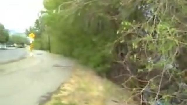 Canada Day Kamloops BC смотреть онлайн