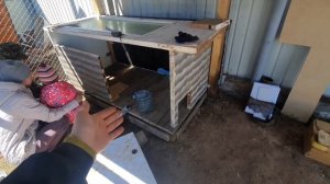 курятник из подручных материалов продолжение стройки