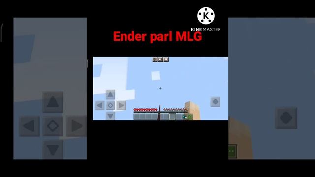 Minecraft ender perl mlg?