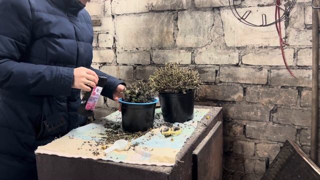 БЕЛАРУСЬ ХУТОРОК МЕЧТЫ. Нам позавидует любой хуторянин. Ответы на вопросы.