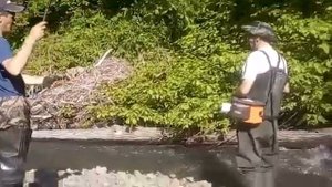 Река Грязная первая пеструшка