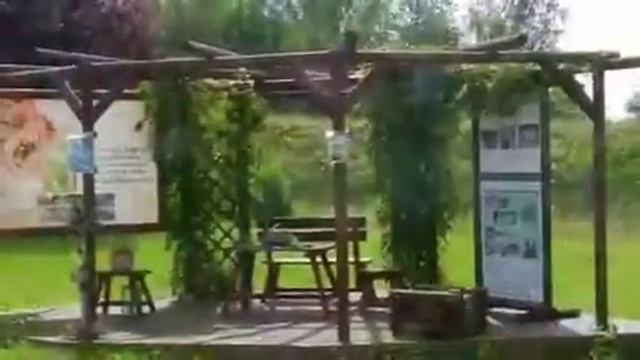 Выставка домов в Хемнице смотреть онлайн