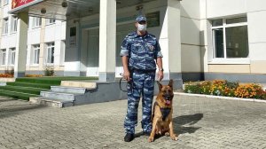 Обзор криминальных новостей