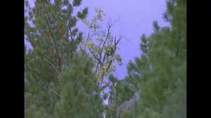 Злой дух Ямбуя СССР 1978