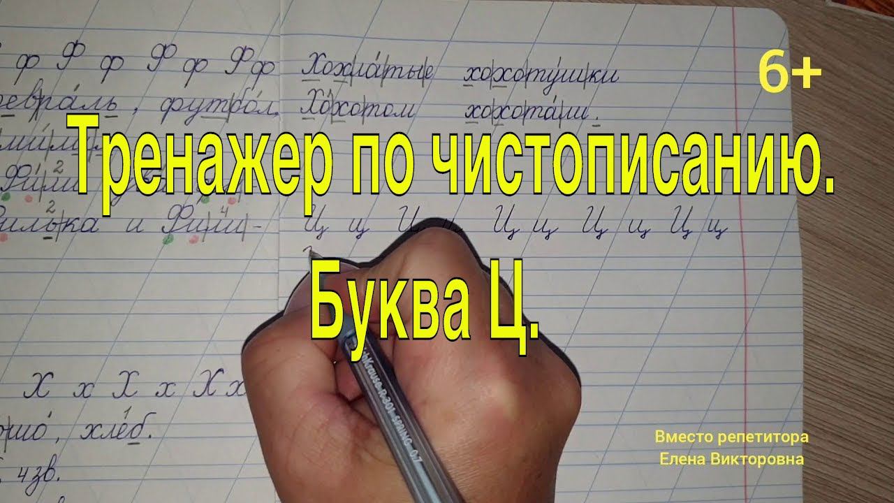 Тренажер по чистописанию. Буква Ц. Словарные слова. Значение слов.