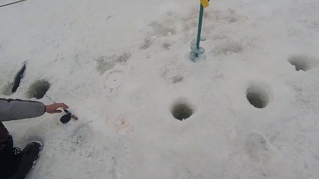 ЛОВЛЯ ФОРЕЛИ СО ЛЬДА! ПОИМКИ НА РАТЛИН "ЭКЛИПС" 75 В 105-м ЦВЕТЕ! ЗАЕХАЛ НА ЧАСОК В КОКИНО смотреть онлайн