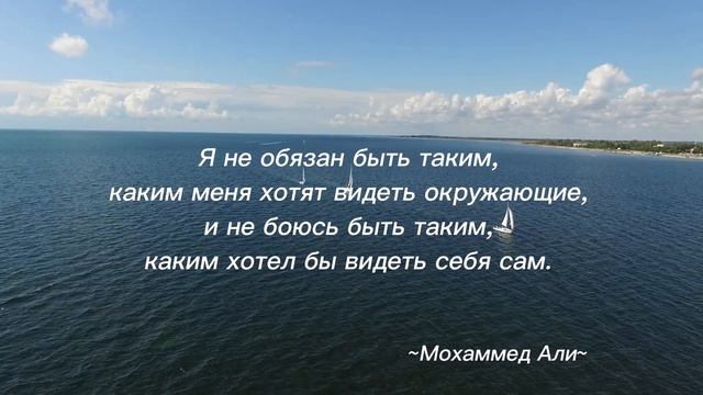 Мудрые цитаты высоких вибраций возвращают веру в себя 💯 Просто смотри и слушай 💫